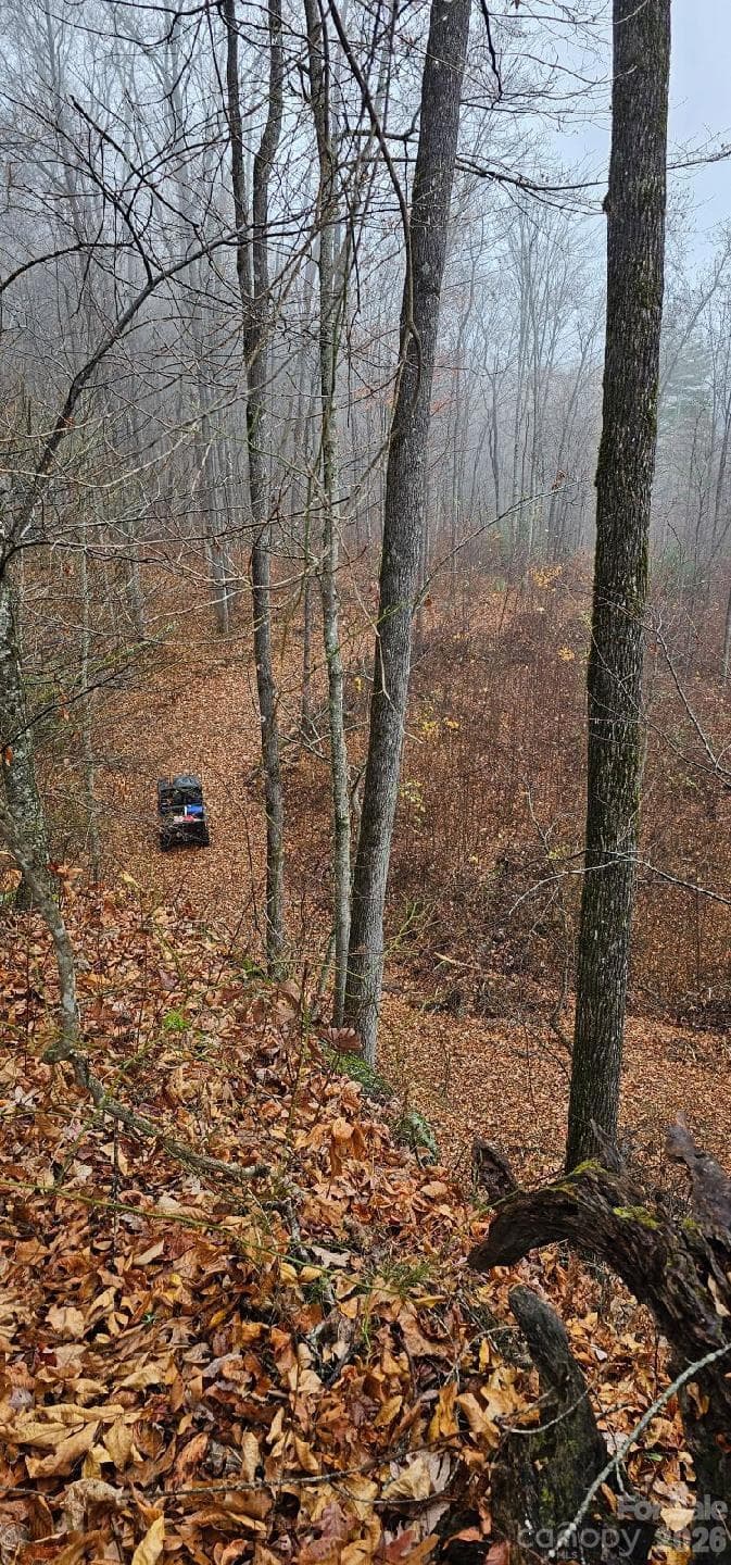 Path to Paradise - 1629 White Rock Road, Cullowhee