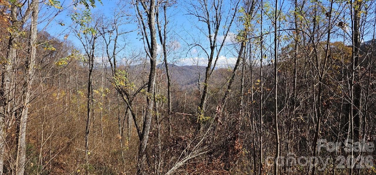 Long Views - 1629 White Rock Road, Cullowhee