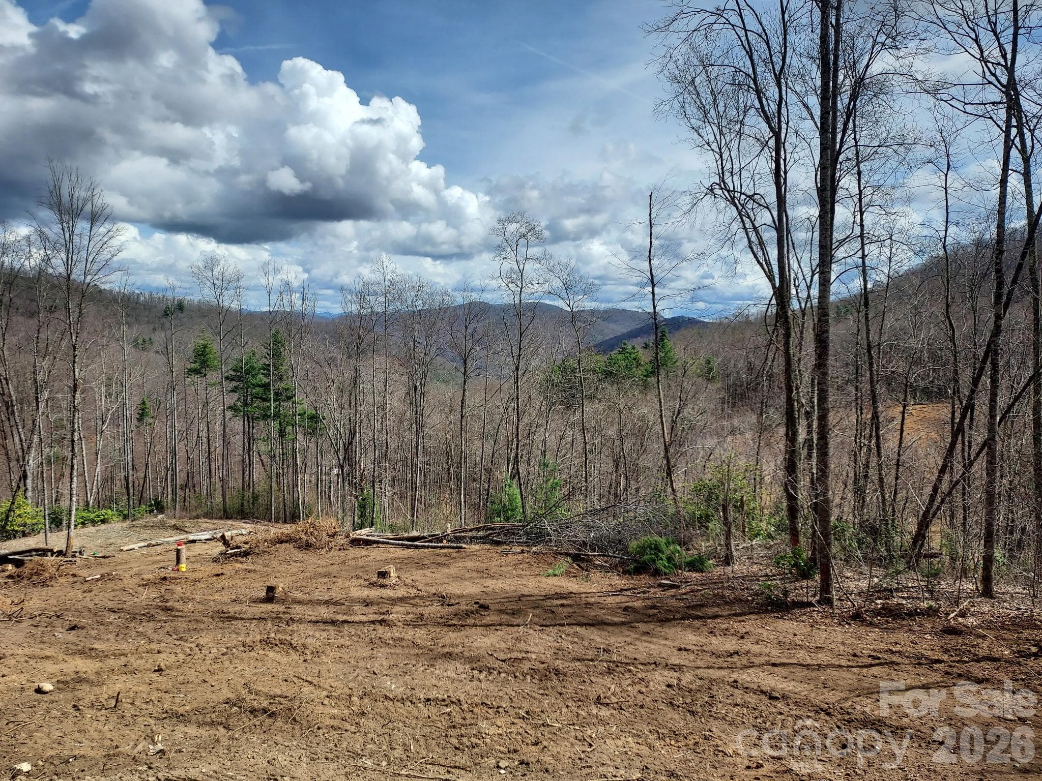 Clearing for a Site - 1629 White Rock Road, Cullowhee