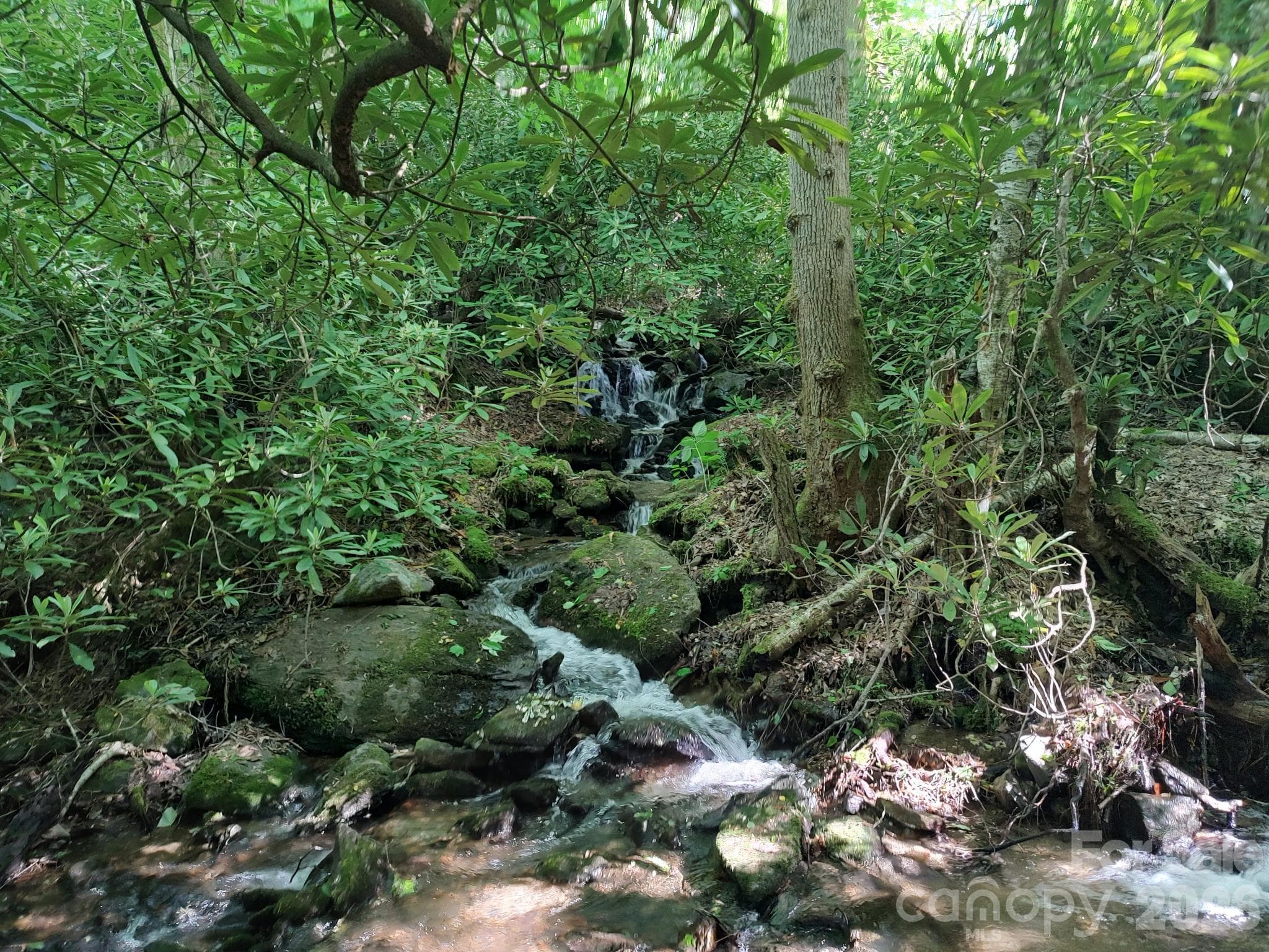 Spring fed creeks - 1629 White Rock Road, Cullowhee