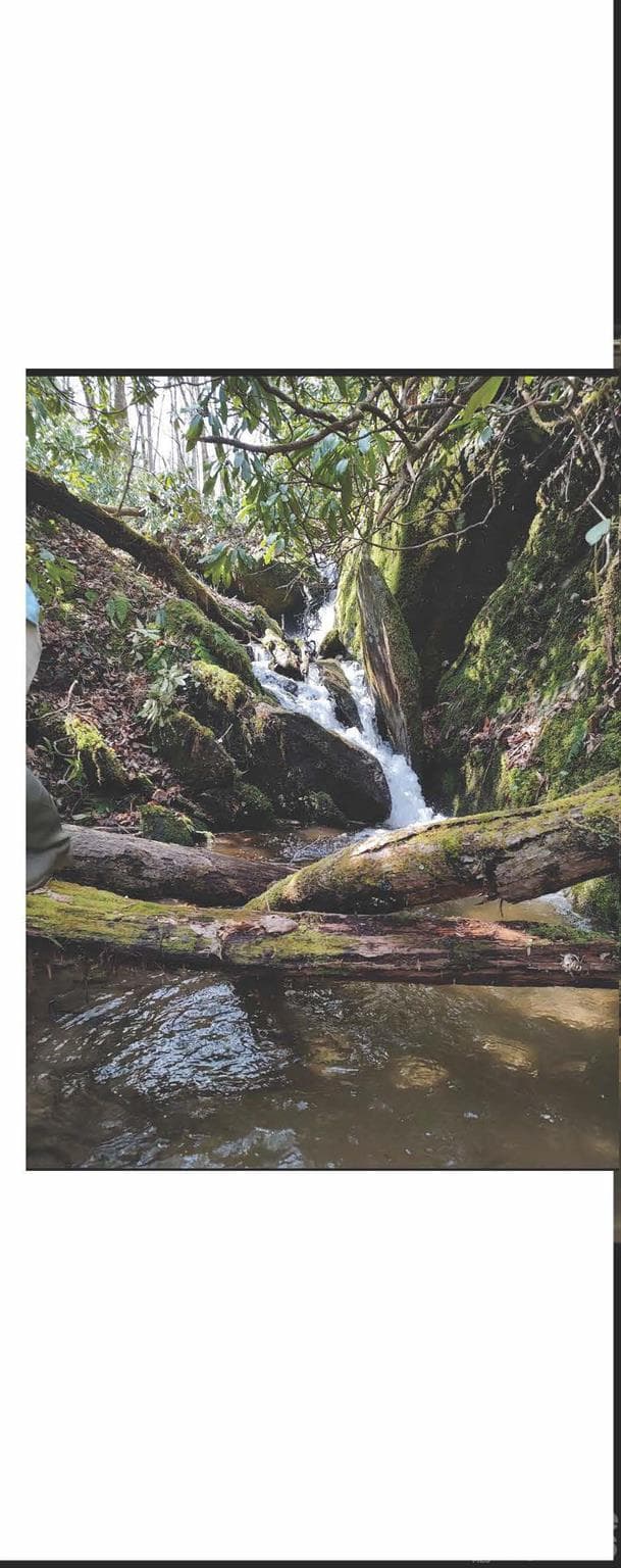 Waterfalls - 1629 White Rock Road, Cullowhee