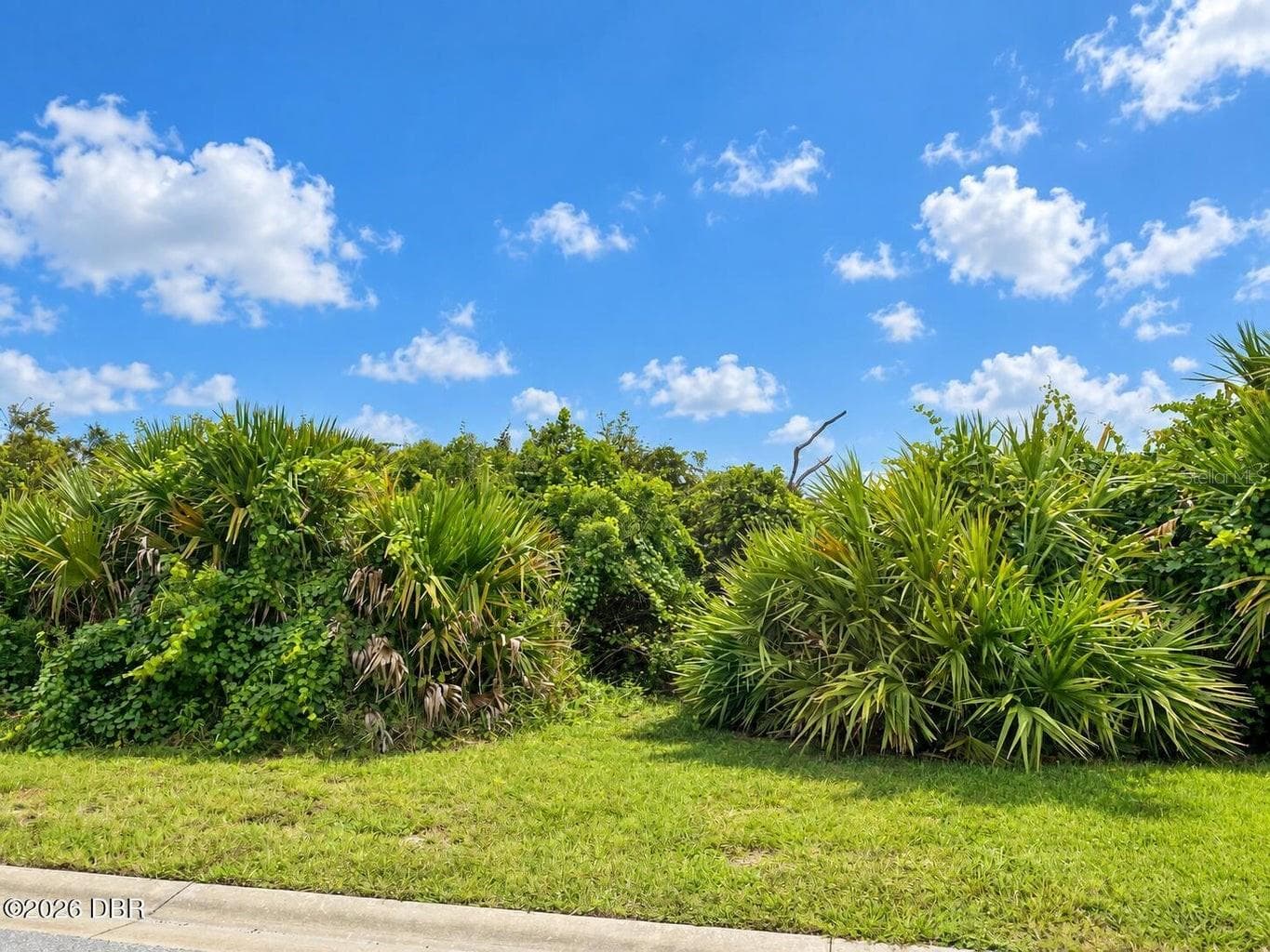 Land at 24 ROLLINS DUNES DR, PALM COAST, photo 22 of 22