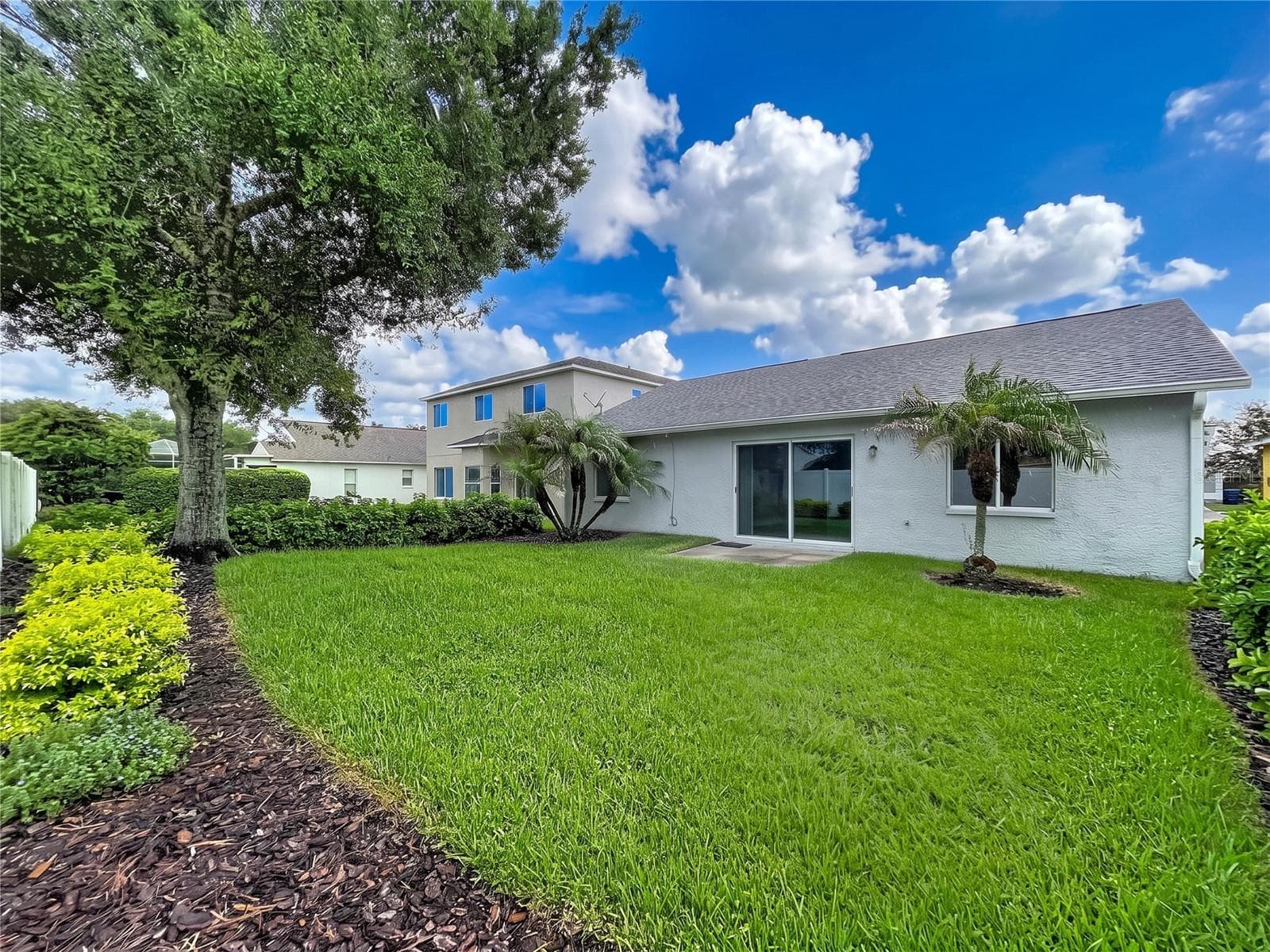 Spacious backyard - 27408 CORAL SPRINGS DR, WESLEY CHAPEL