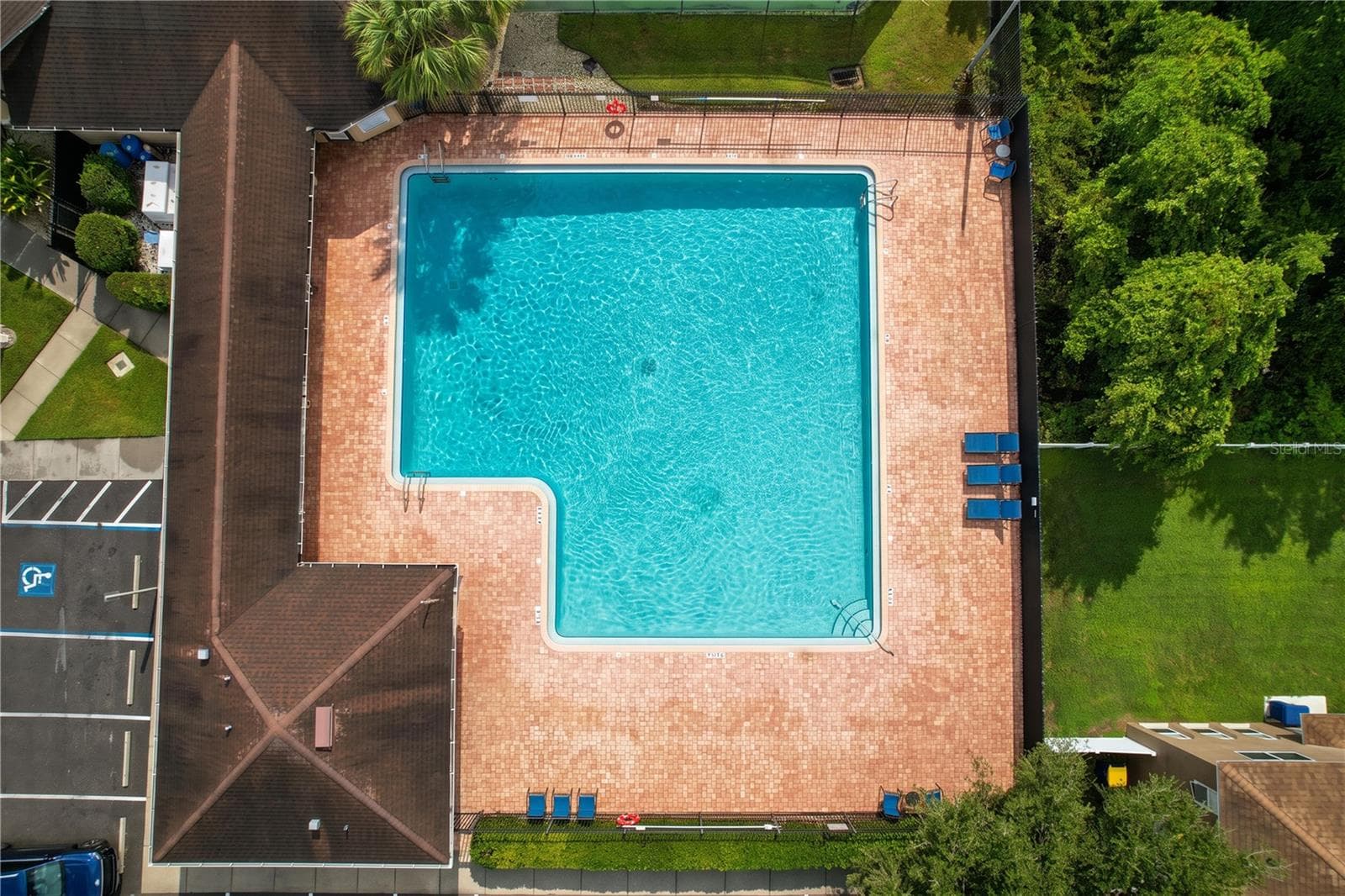 Large swimming pool - 27408 CORAL SPRINGS DR, WESLEY CHAPEL