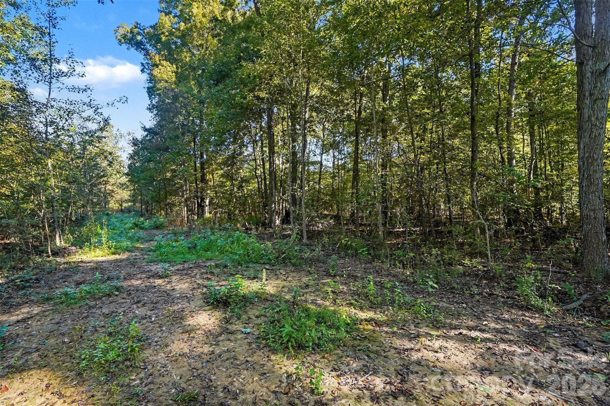End of the Road Facing North East - 1724 Willis Long Road, Monroe