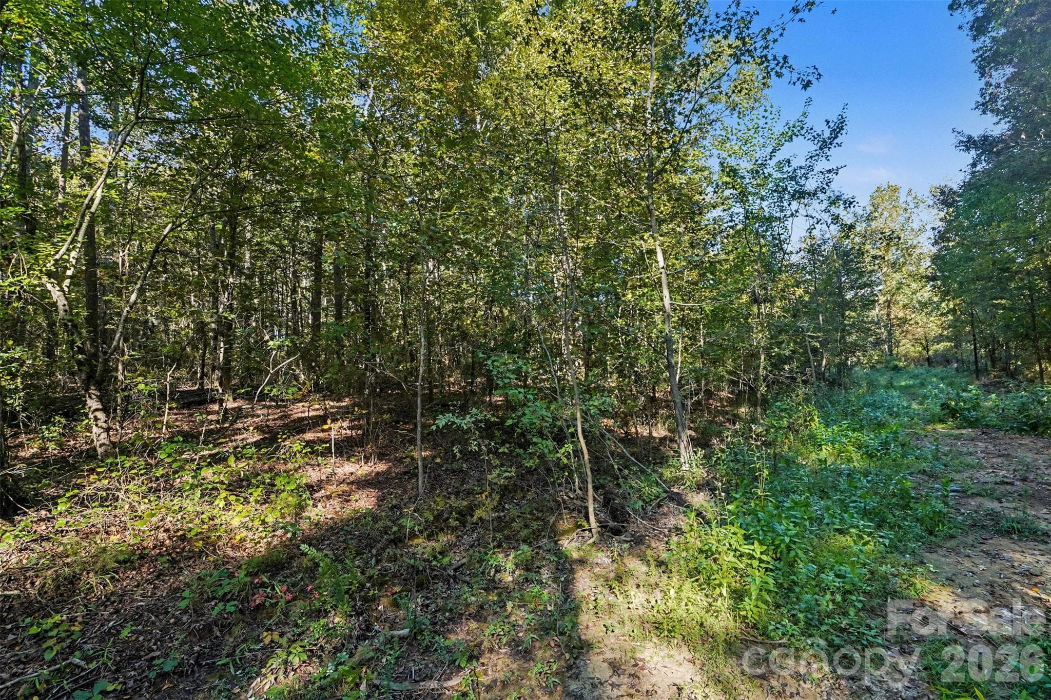 Lot at 1724 Willis Long Road, Monroe, photo 7 of 12