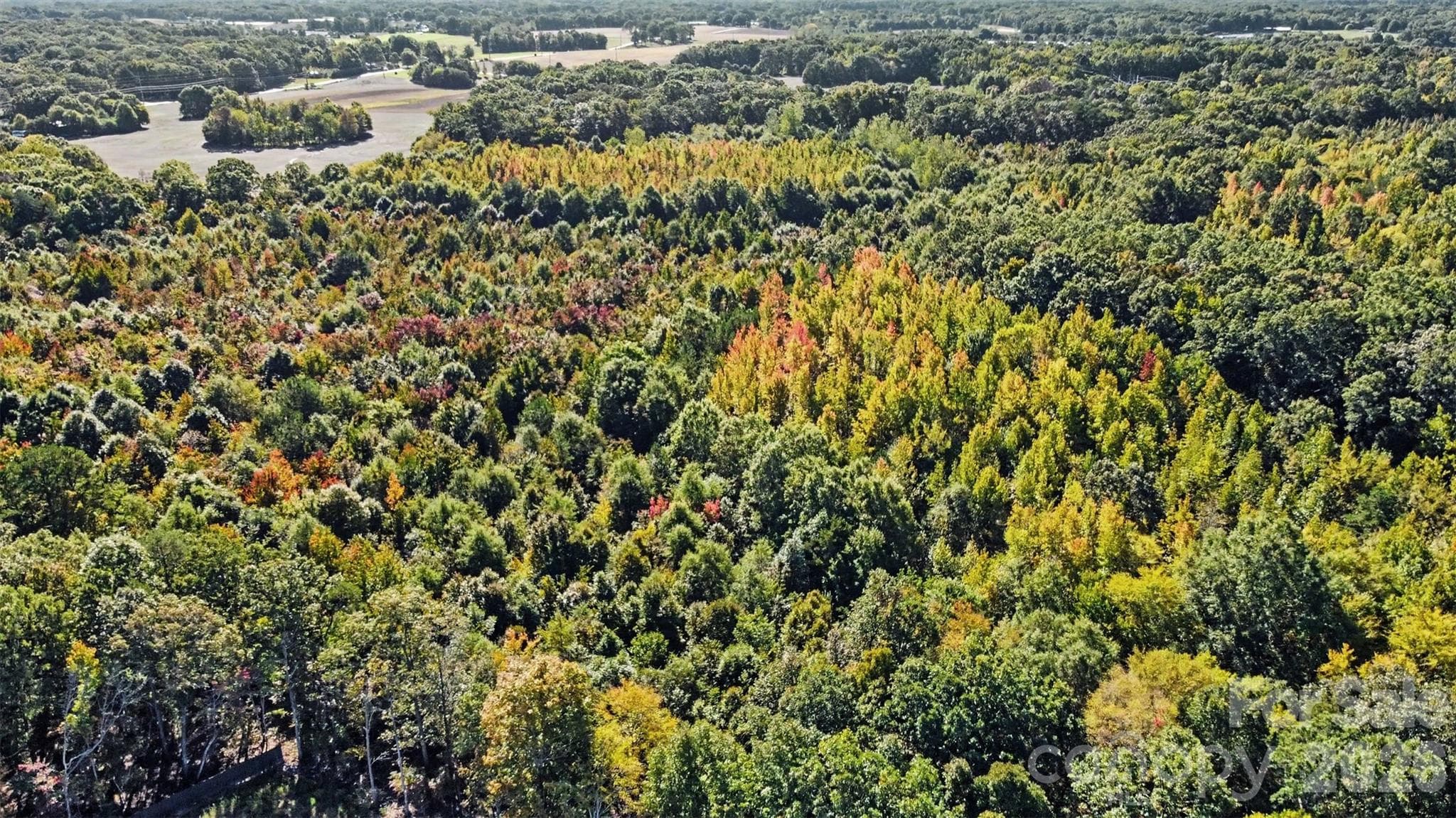 Lot at 1724 Willis Long Road, Monroe, photo 9 of 12