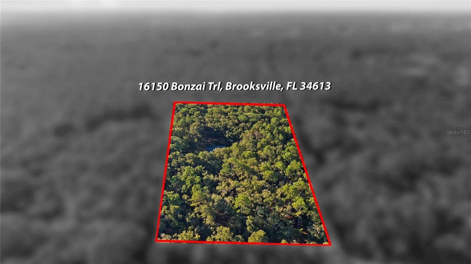 Single Family Residence at 16150 BONZAI TRL, BROOKSVILLE, photo 57 of 66