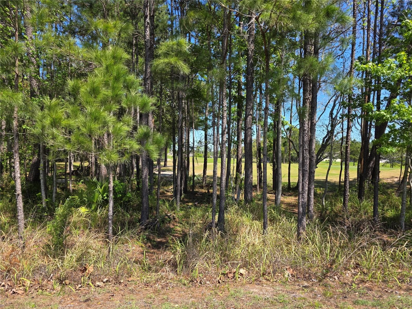 Single Family Residence at 5058 DIANTHA WAY, BROOKSVILLE, photo 4 of 23