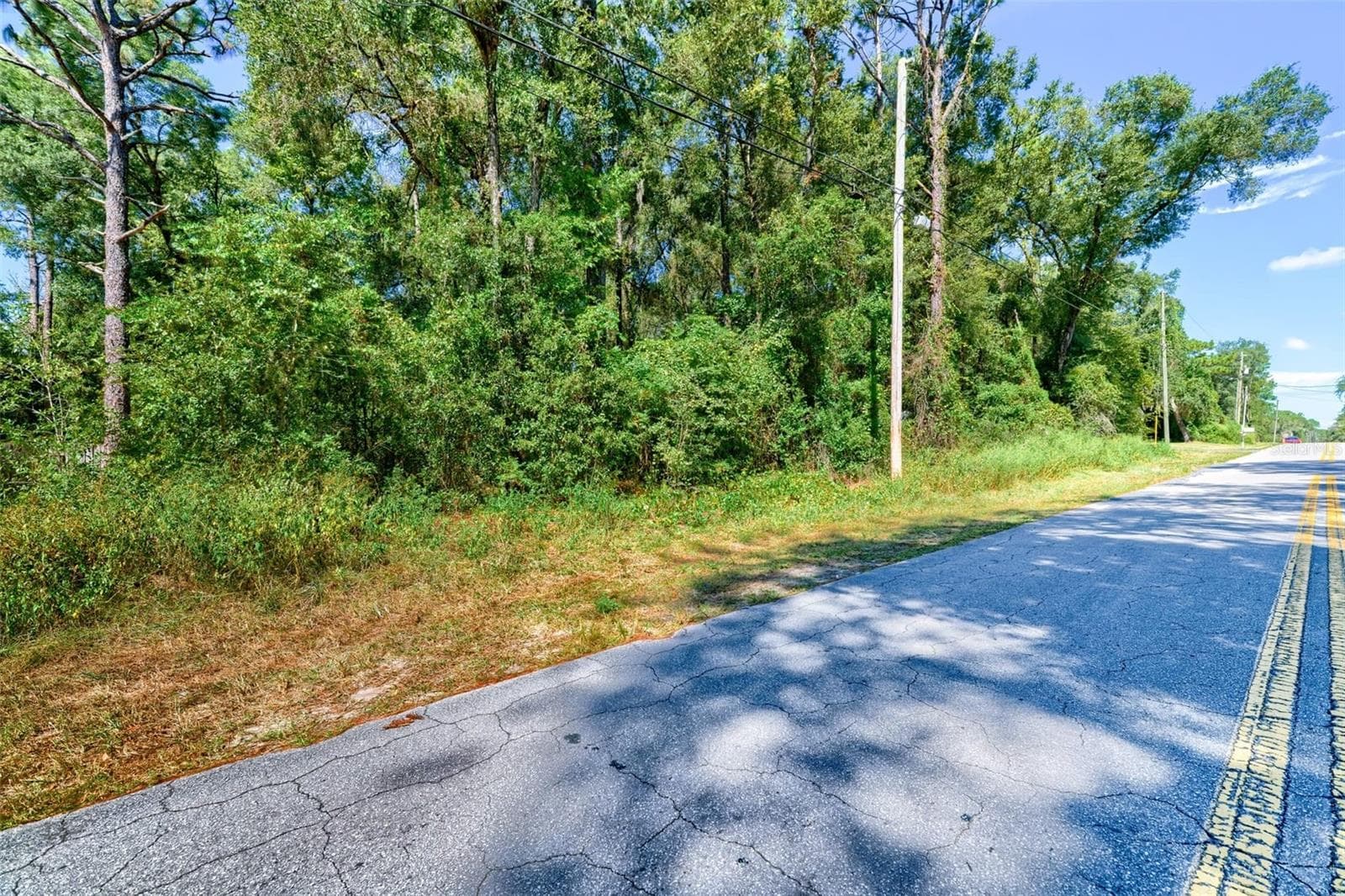 Land at 4114 S ALPINE AVE, INVERNESS, photo 6 of 6