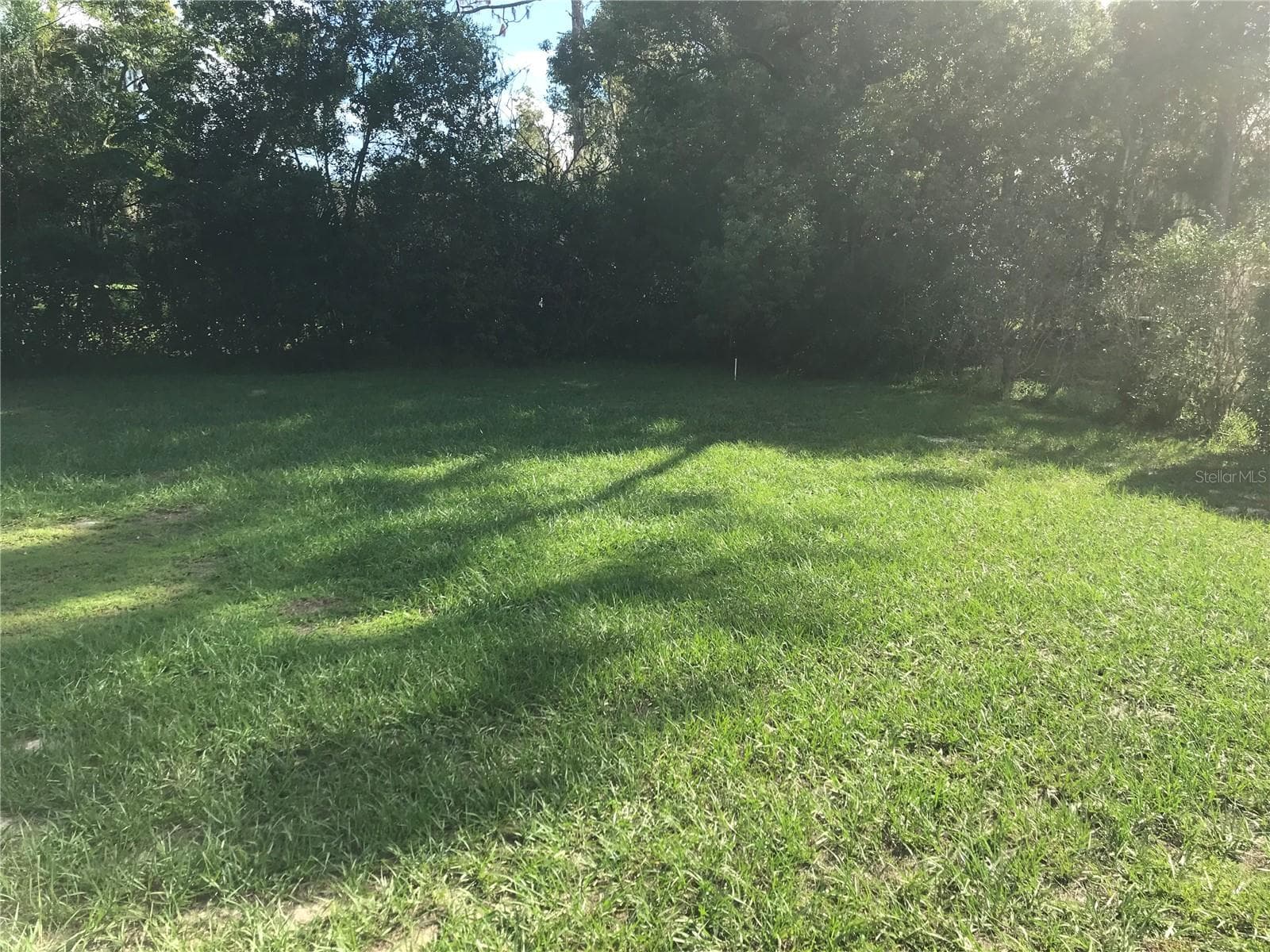 Single Family Residence at 313 BAHIA CIR, OCALA, photo 9 of 25