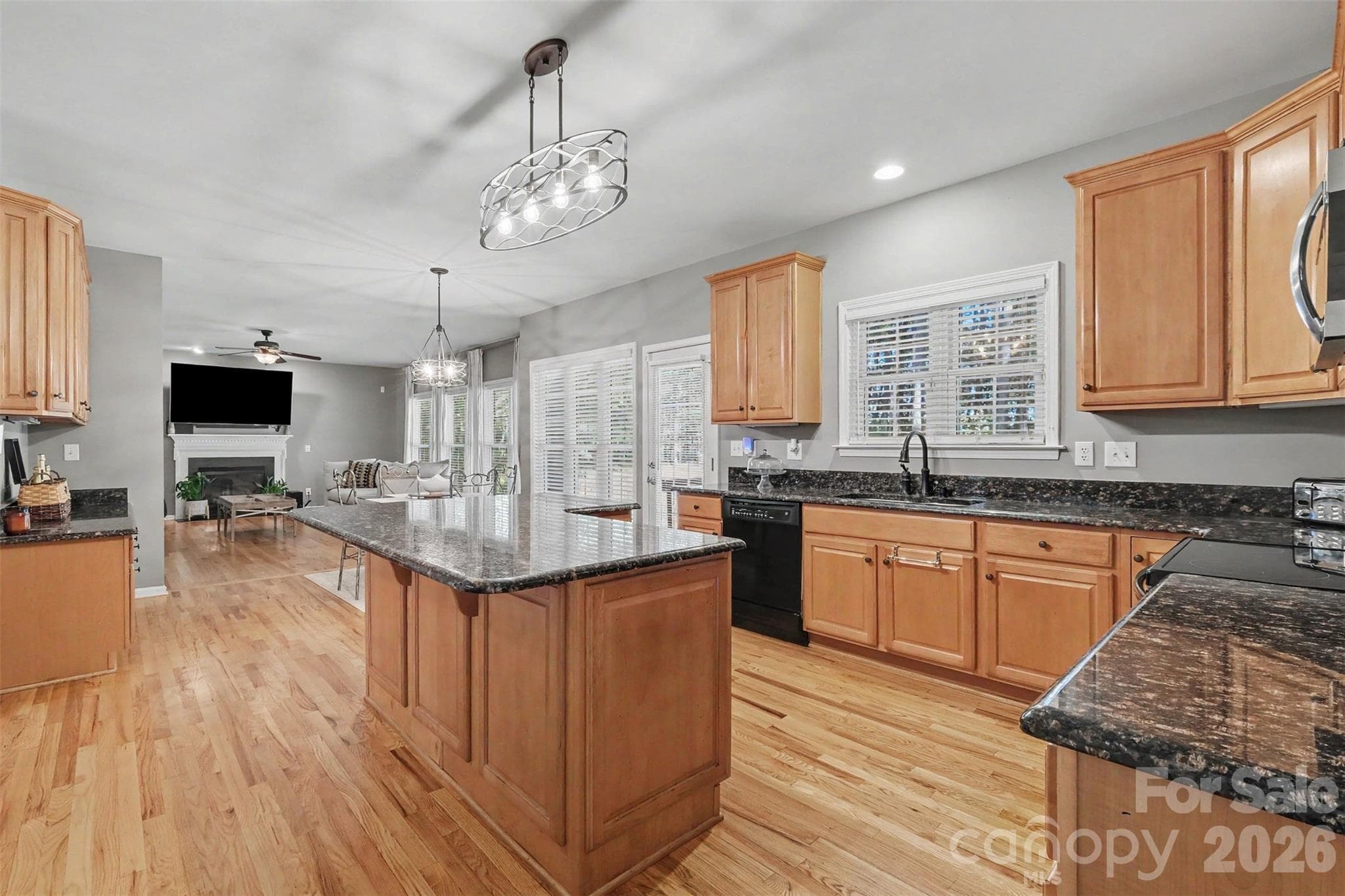 Single Family Residence at 11538 Shimmering Lake Drive, Charlotte, photo 11 of 48