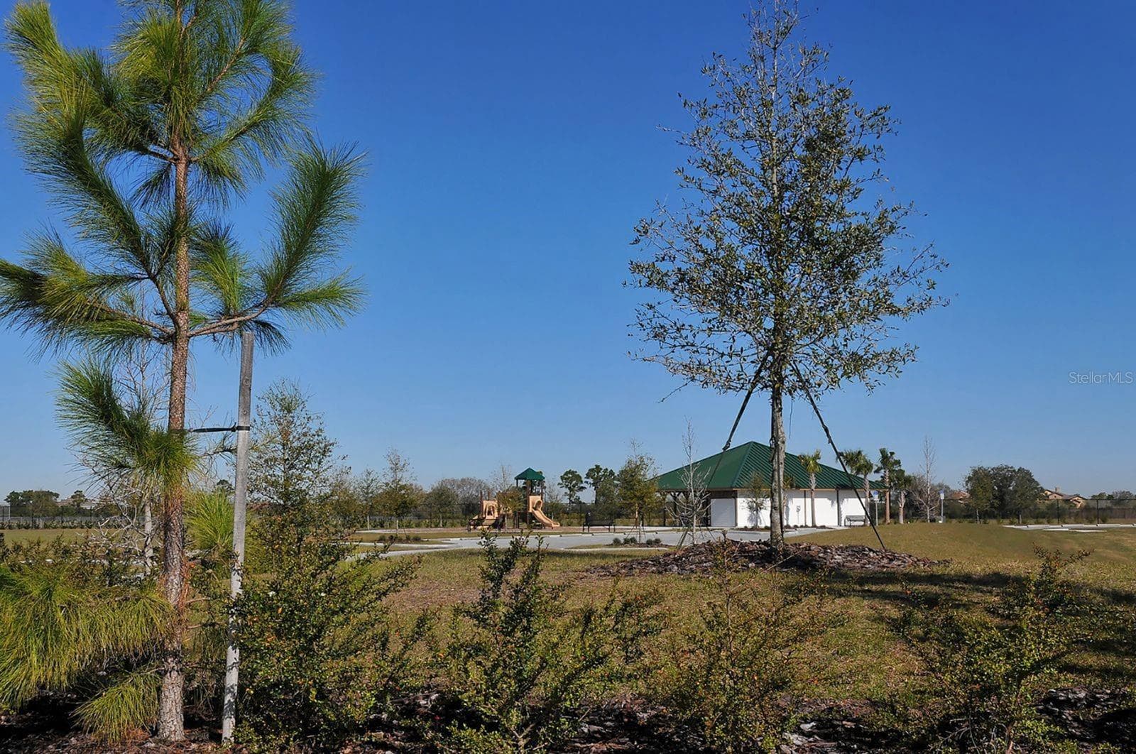 Single Family Residence at 7836 VALDERRAMA WAY, LAKEWOOD RANCH, photo 58 of 82