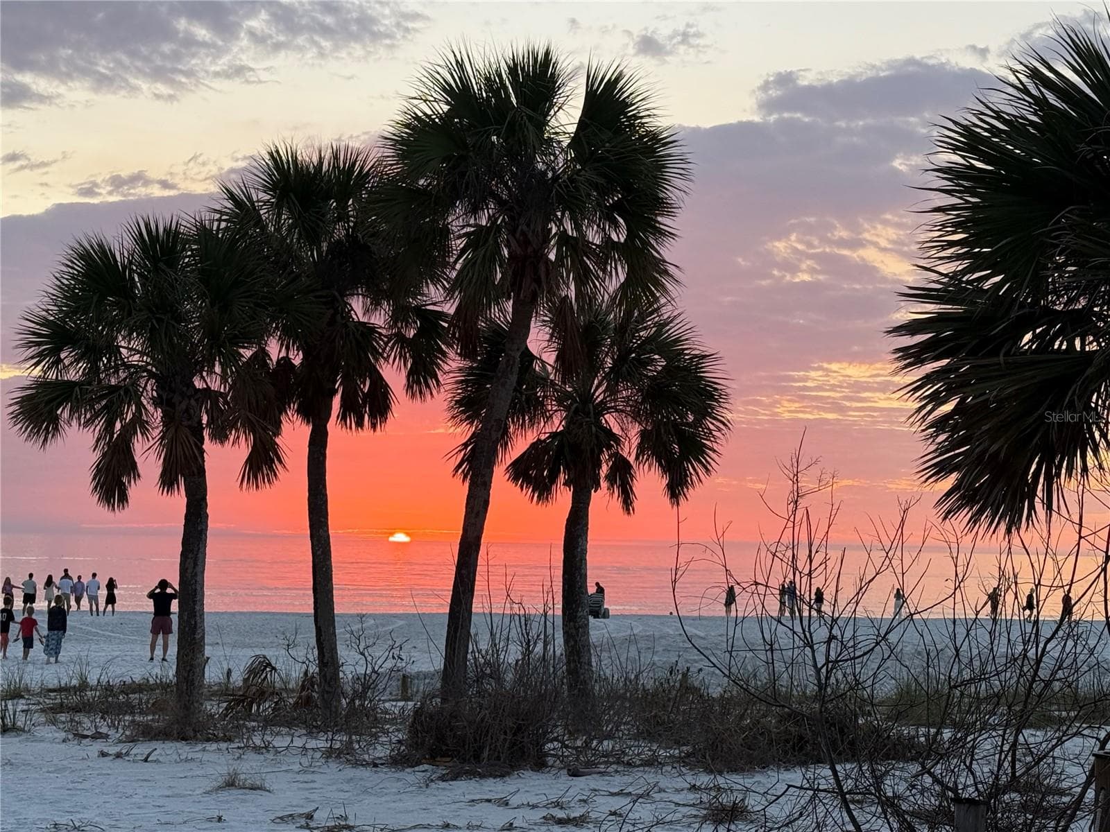 Siesta Sun Sets - 335 PARK TRACE BLVD, OSPREY