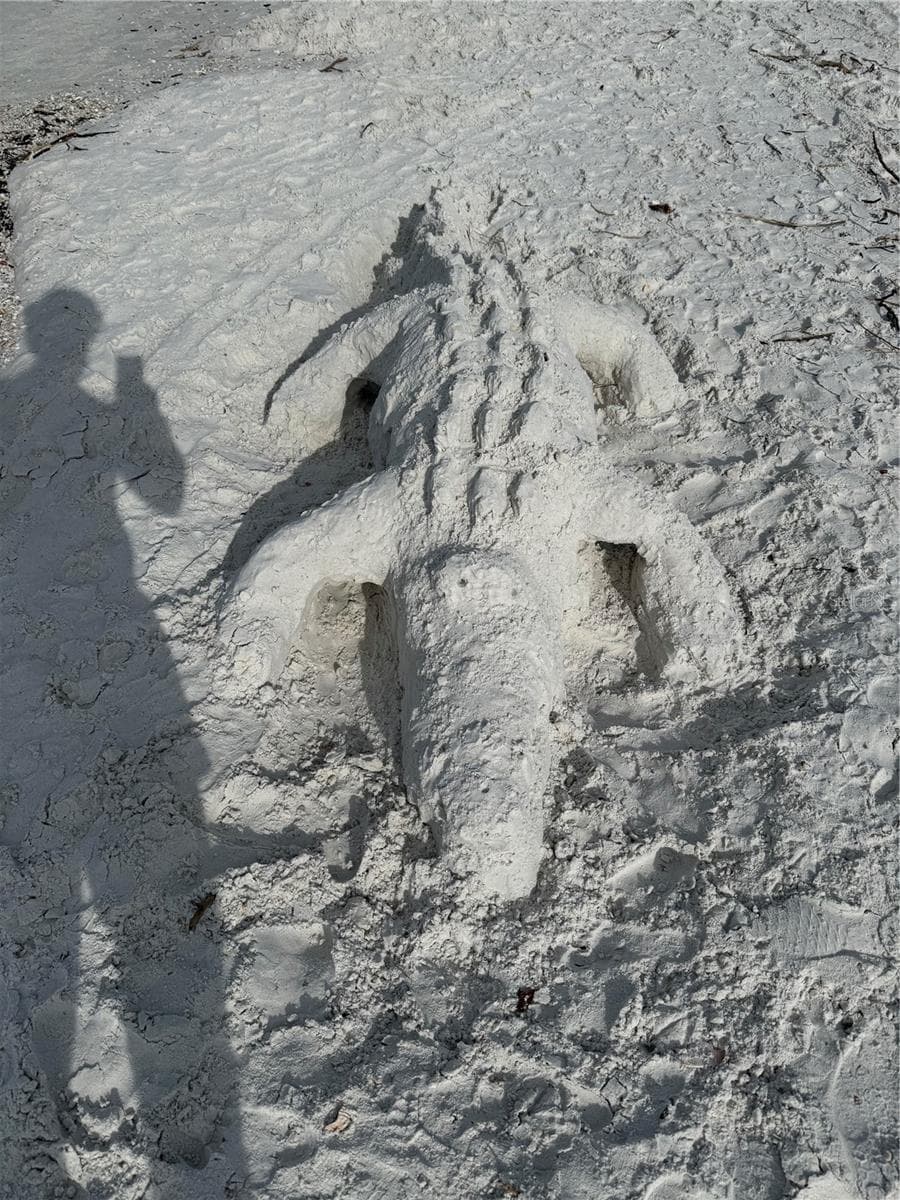 Siesta Sand Crafts - 335 PARK TRACE BLVD, OSPREY