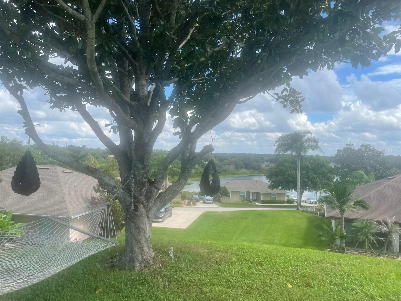 Backyard - 11413 ALAMEDA SANDRA DR, CLERMONT