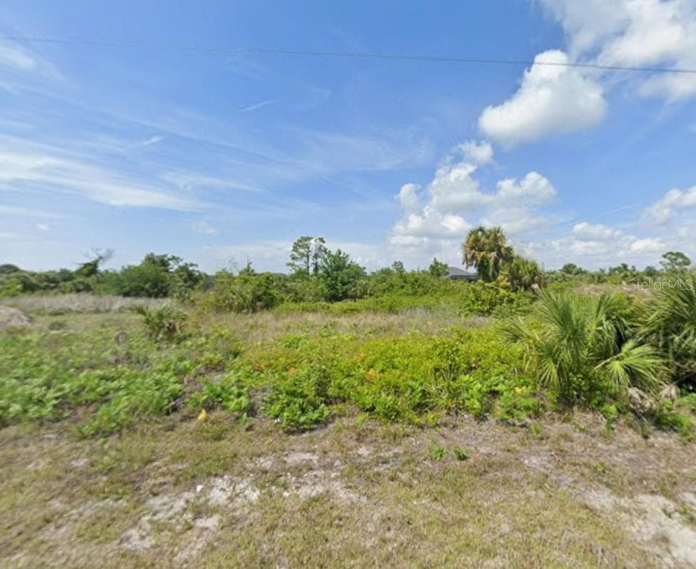Land at 12172 XAVIER AVE, PORT CHARLOTTE, photo 3 of 3