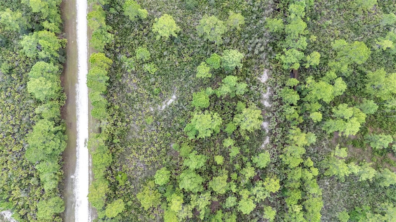 Land at 0 ORLANDO DR, INDIAN LAKE ESTATES, photo 3 of 11
