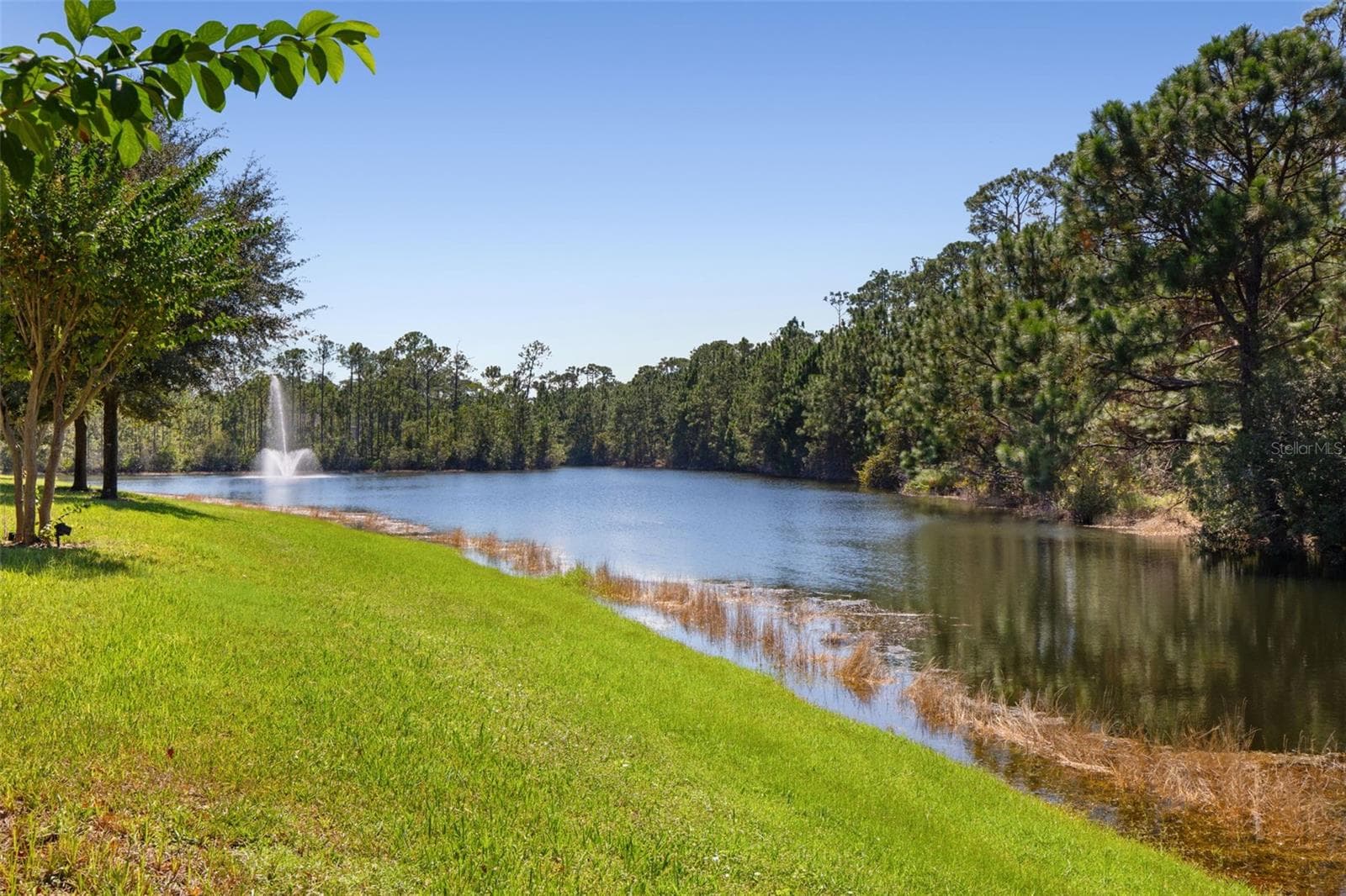 Townhouse at 761 ALDENHAM LN, ORMOND BEACH, photo 50 of 99