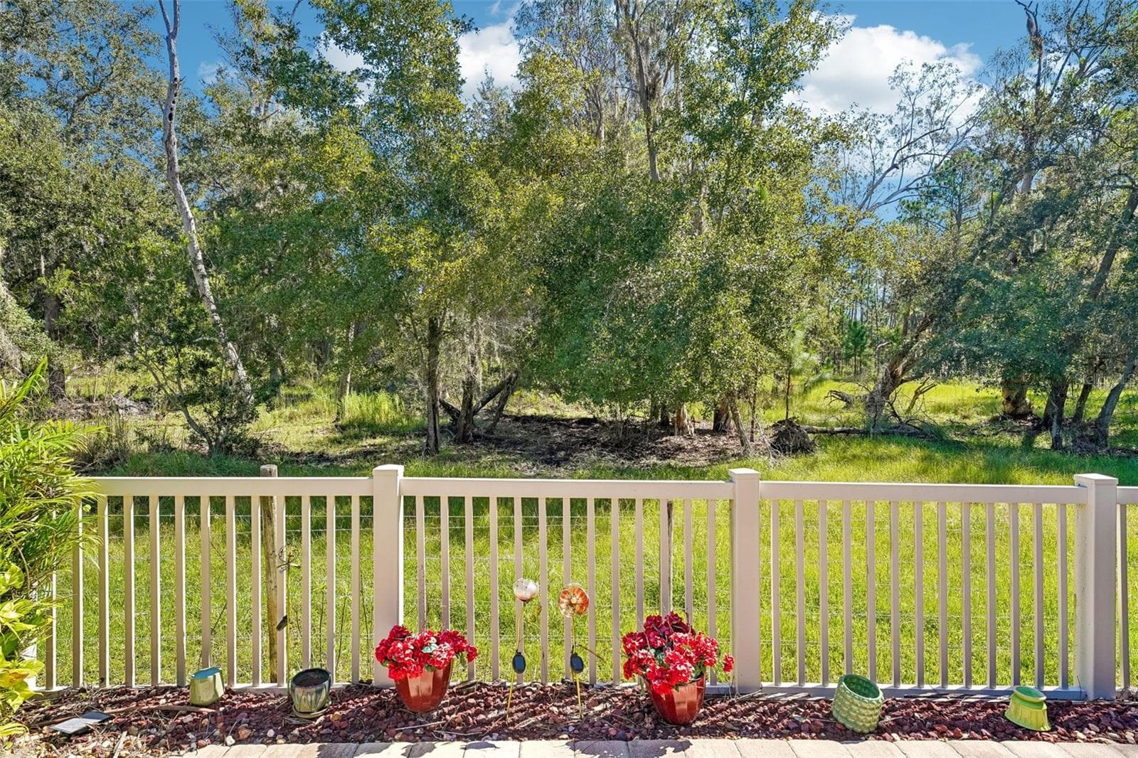 Single Family Residence at 7404 AMBLESIDE DR, LAND O LAKES, photo 32 of 56