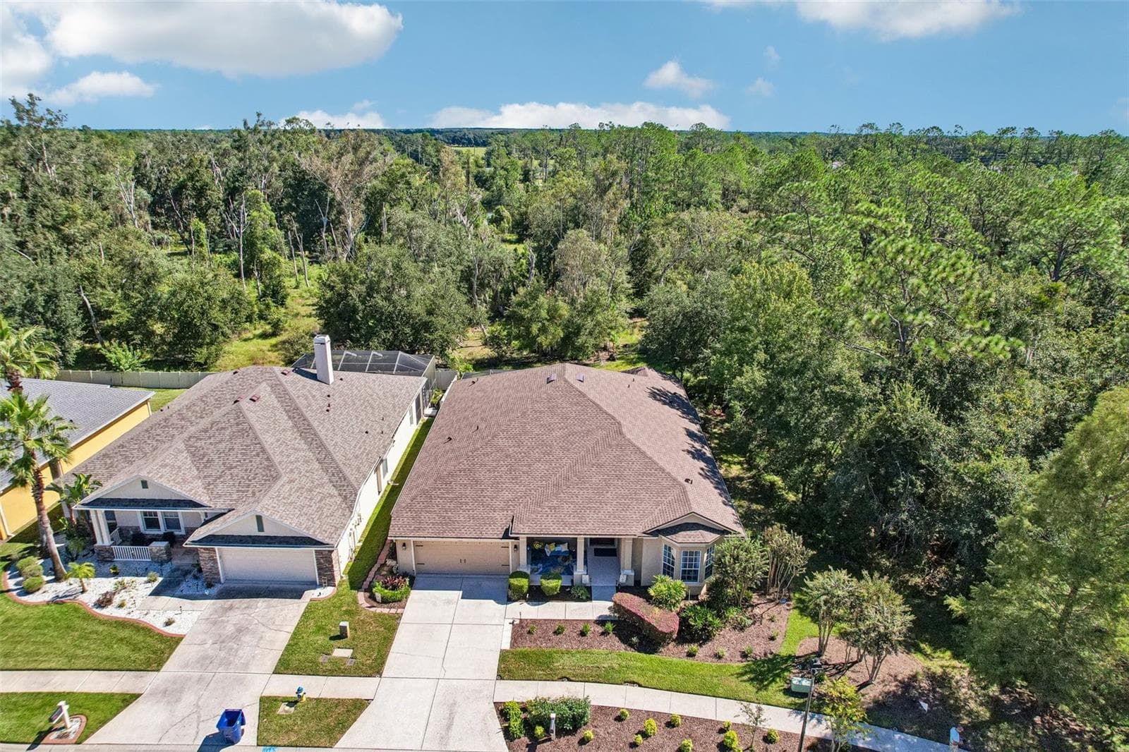Single Family Residence at 7404 AMBLESIDE DR, LAND O LAKES, photo 51 of 56