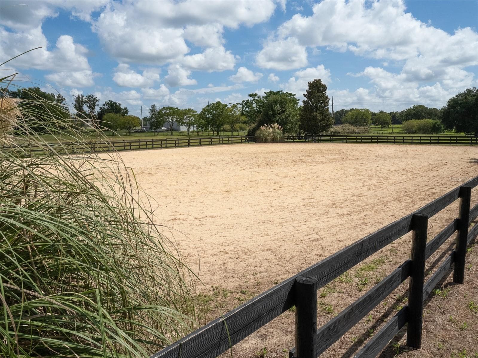 Farm at 4900 NW 120TH ST, REDDICK, photo 20 of 27