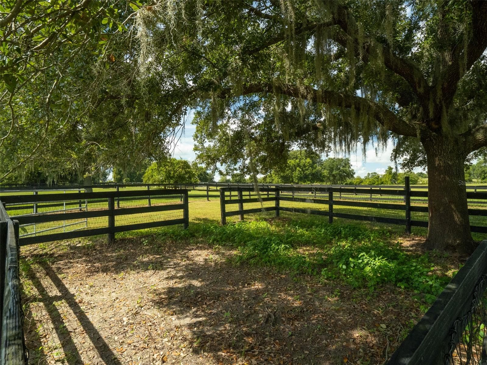 Farm at 4900 NW 120TH ST, REDDICK, photo 24 of 27