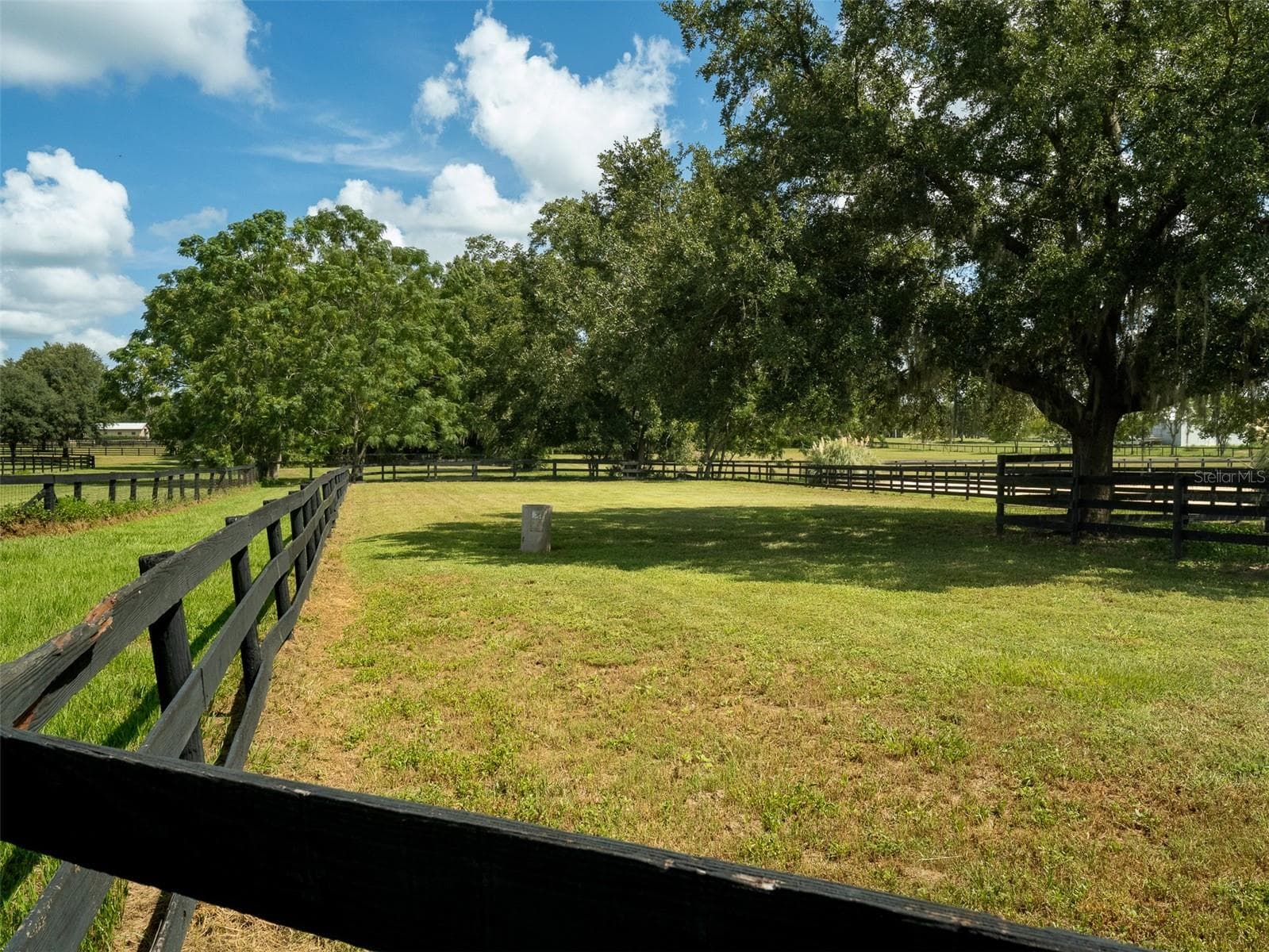 Farm at 4900 NW 120TH ST, REDDICK, photo 25 of 27