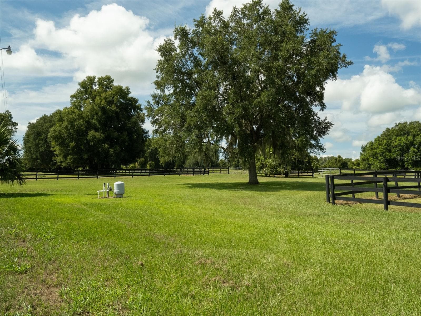 Farm at 4900 NW 120TH ST, REDDICK, photo 26 of 27
