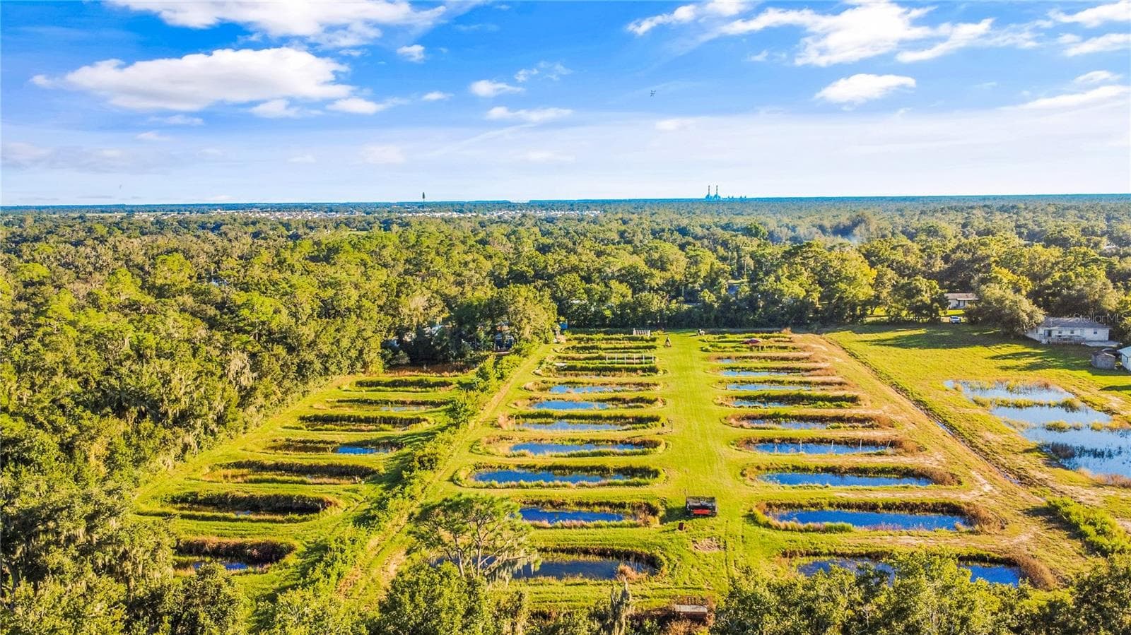 Land at 5010 RUTH MORRIS RD, WIMAUMA, photo 7 of 15