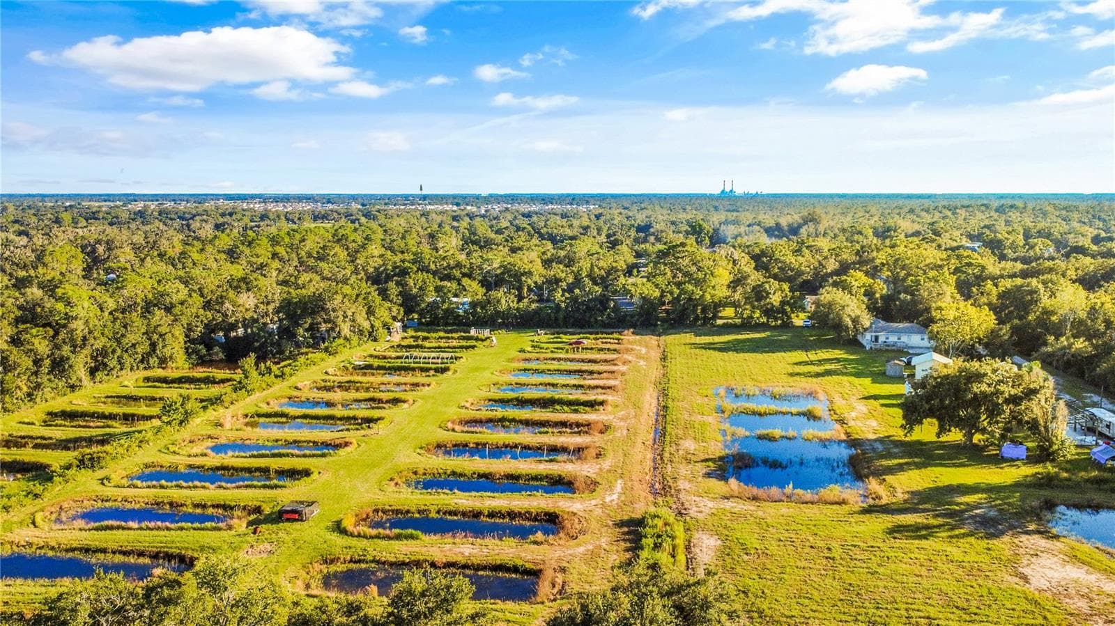 Land at 5010 RUTH MORRIS RD, WIMAUMA, photo 8 of 15