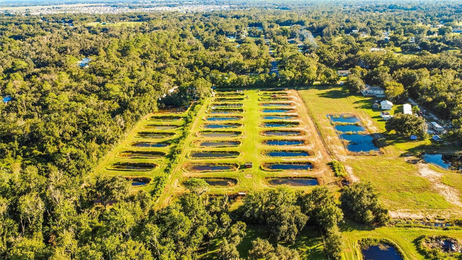 Land at 5010 RUTH MORRIS RD, WIMAUMA, photo 15 of 15