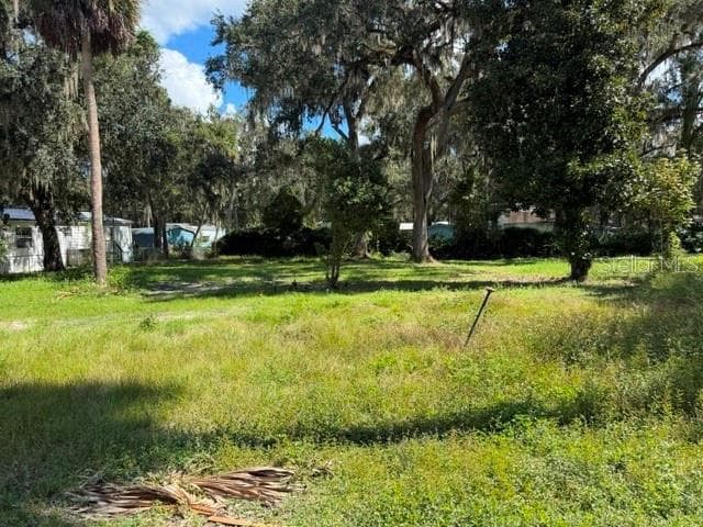 Land at 3687 CR 405DW, LAKE PANASOFFKEE, photo 5 of 5