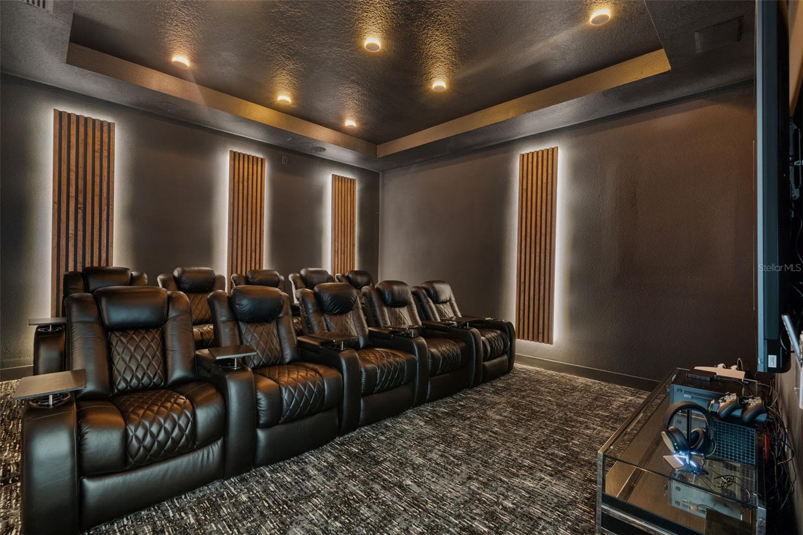 Movie Theatre - 997 JACK NICKLAUS CT, REUNION
