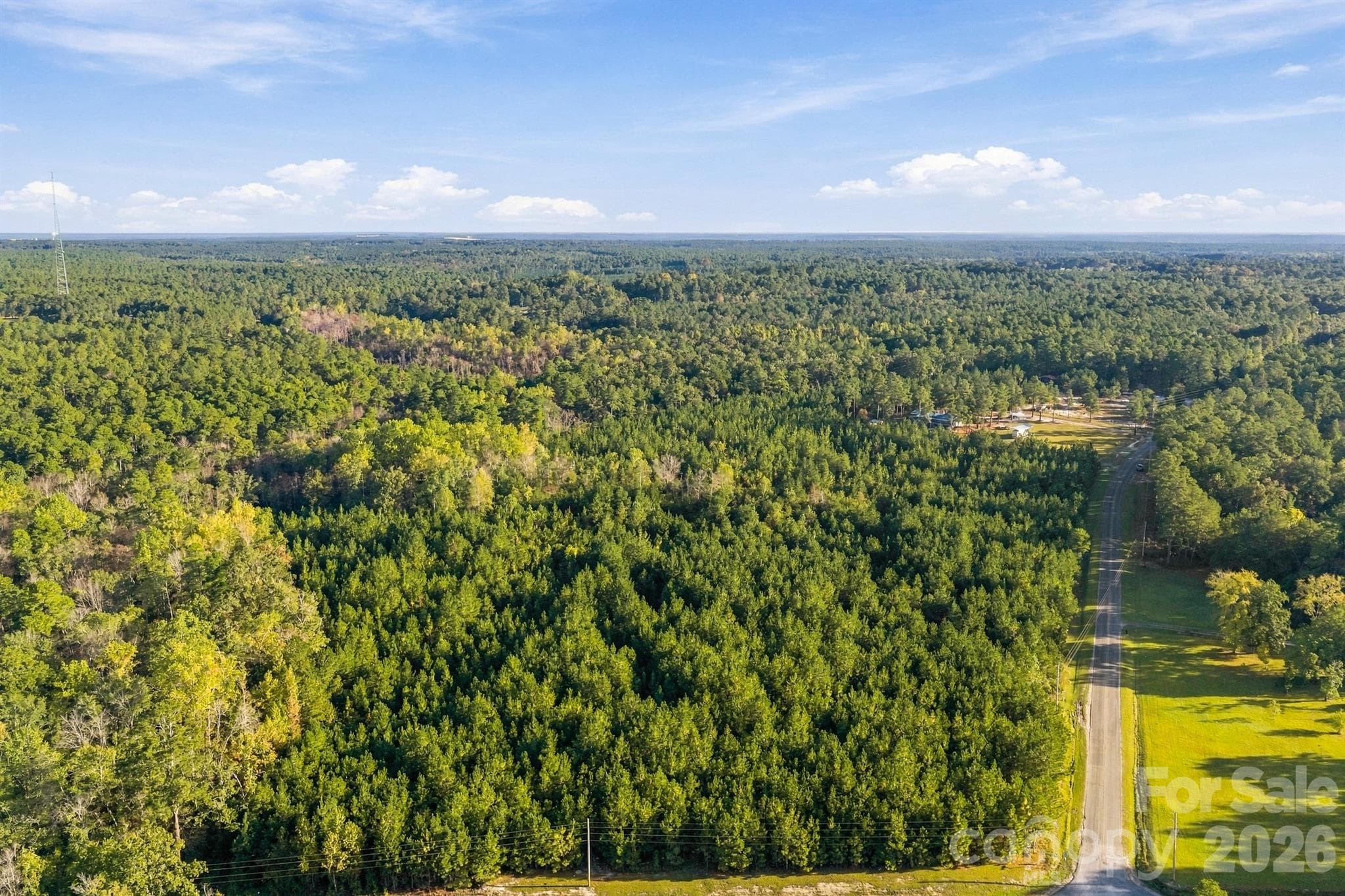 20 Acres of Pine - 1598 Marks Creek Church Road, Laurel Hill