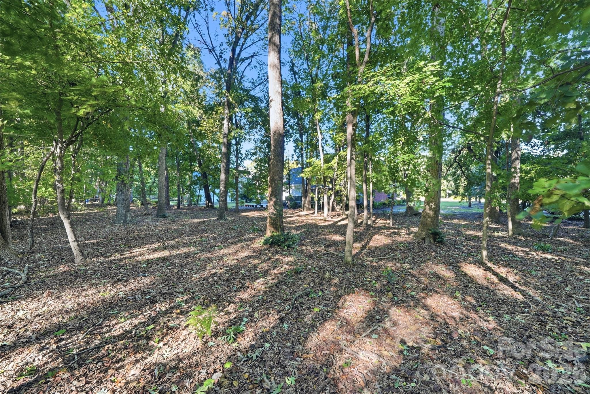 Single Family Residence at 1121 Hillshire Meadow Drive, Matthews, photo 42 of 47