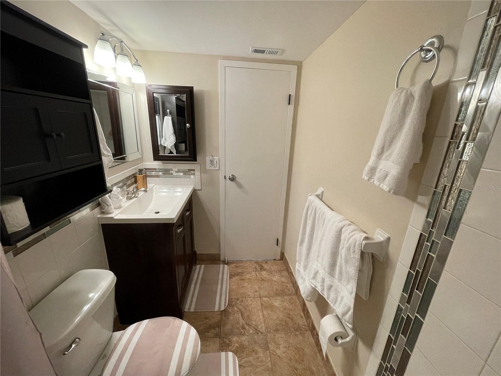 Bathroom View - 8101 11TH ST N #217, ST PETERSBURG