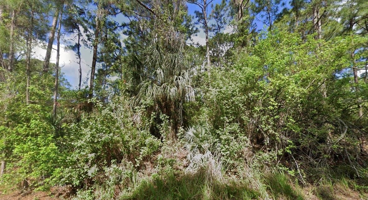 Land at 526 SEA CREST AVE SW, PALM BAY, photo 3 of 6