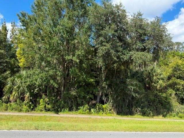 Land at 0000 0000 UNASSIGNED, BUSHNELL, photo 2 of 2