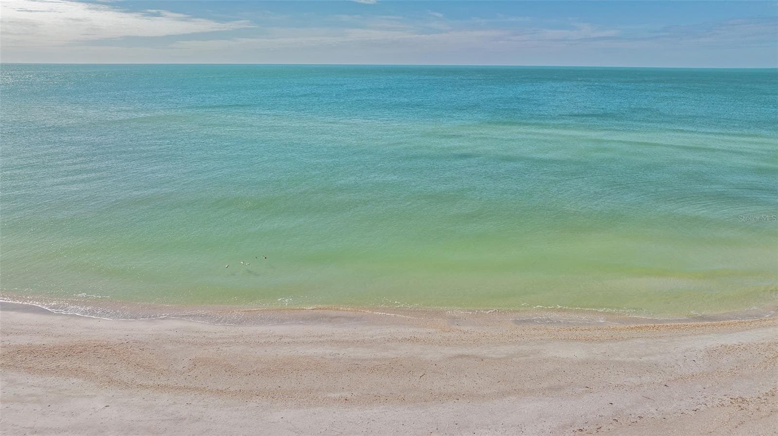 Condominium at ORCHID BEACH CLUB RESIDENCES, SARASOTA, photo 88 of 93