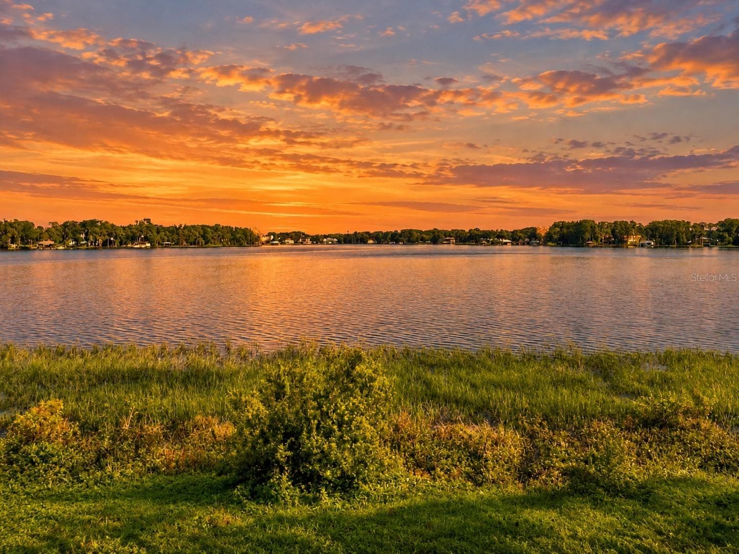 Land at 9509 AQUA LN, ODESSA, photo 19 of 26