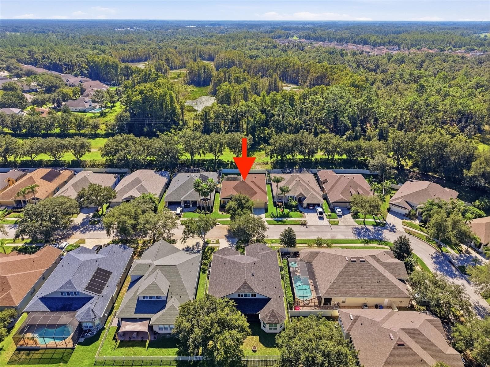 Single Family Residence at 7137 DERWENT GLEN CIR, LAND O LAKES, photo 26 of 26
