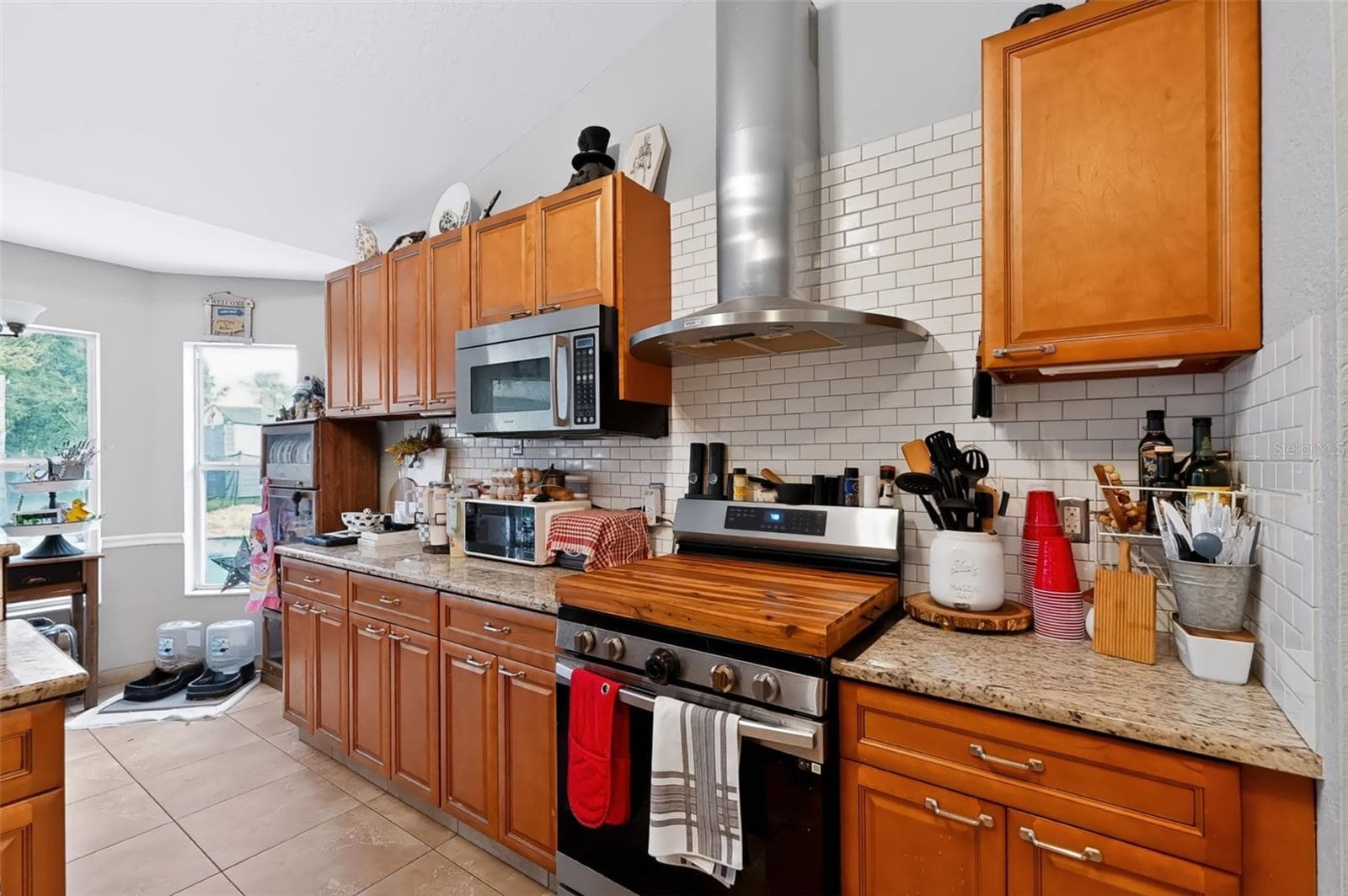 Single Family Residence at 11009 THORNBERRY DR, SPRING HILL, photo 10 of 42