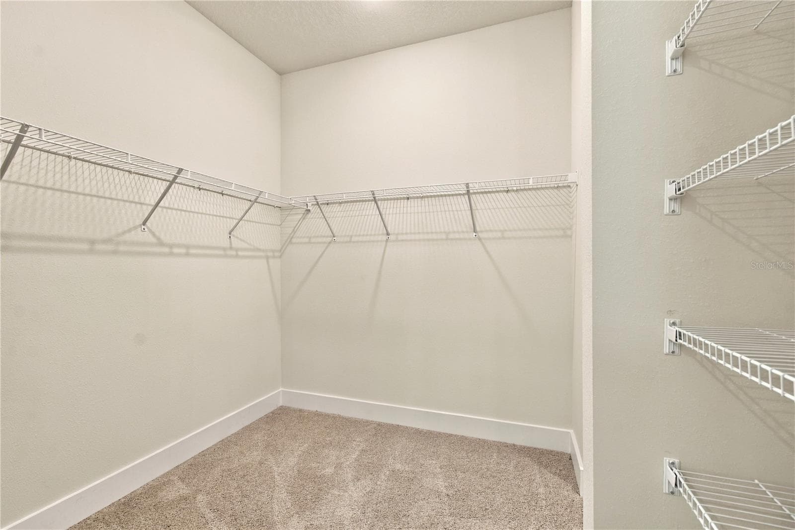 Owner's Closet - 5147 CREEK SAND DR, APOLLO BEACH