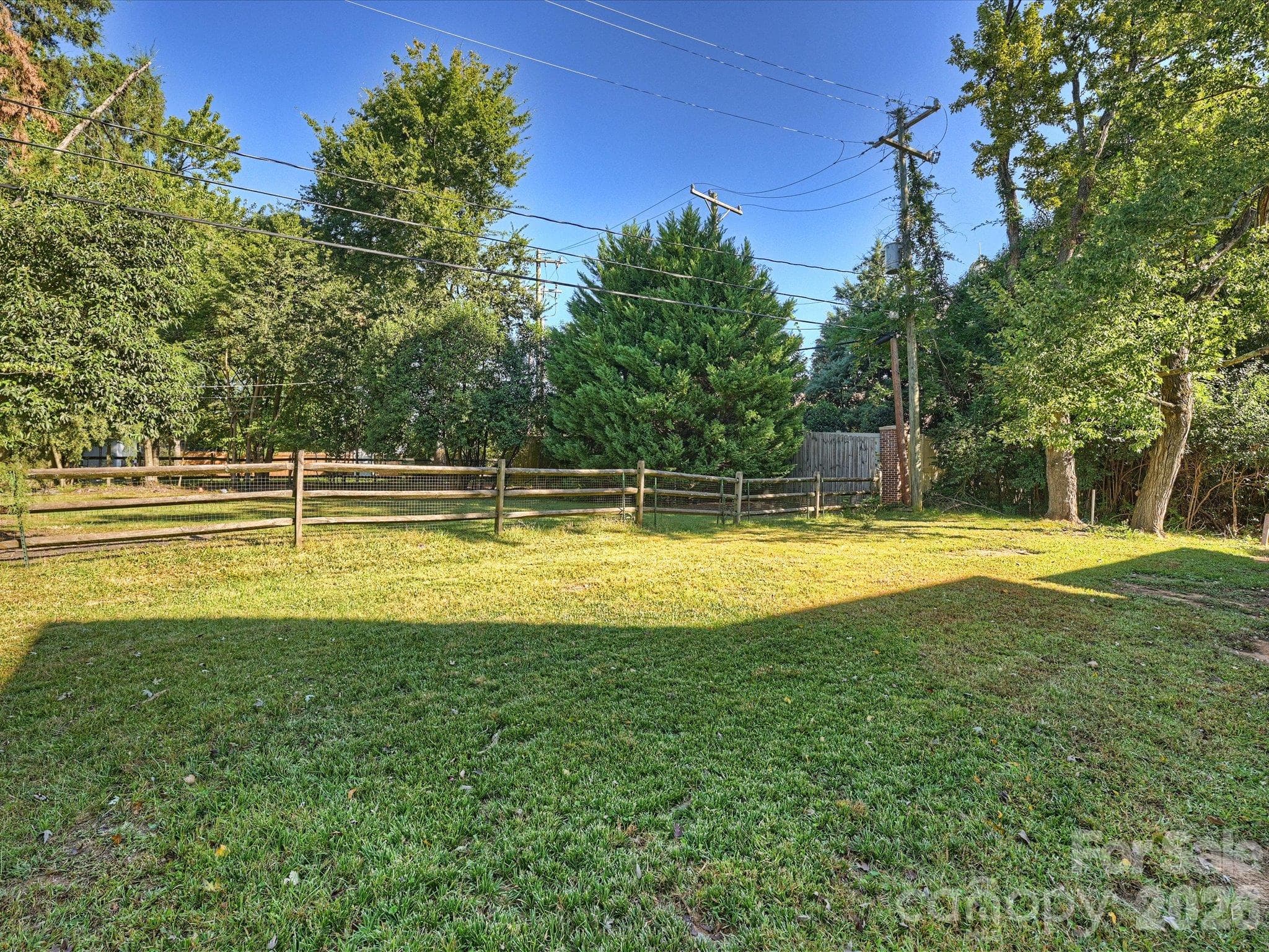 Backyard - 6509 Hazelton Drive, Charlotte