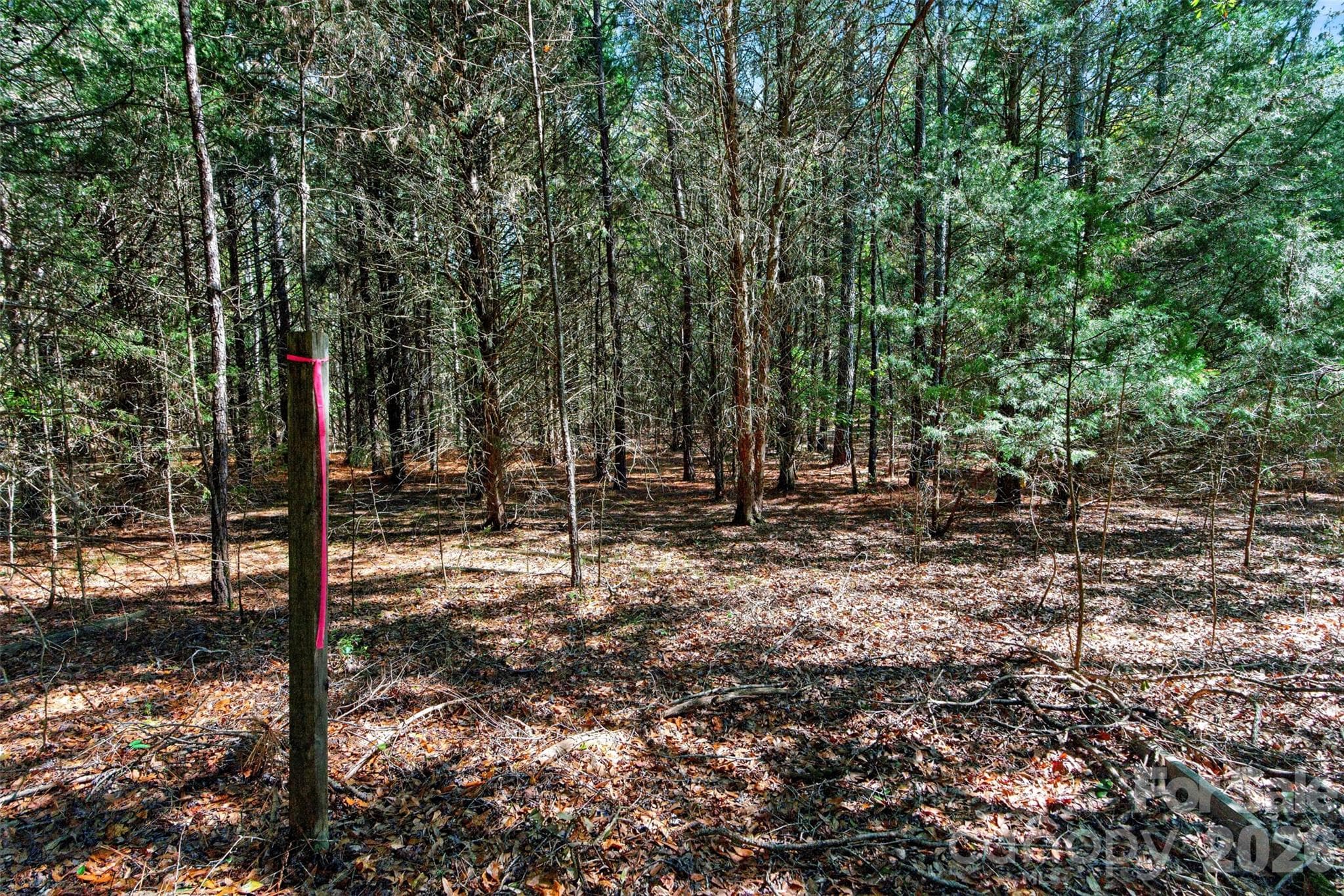 Acreage at 2 Pittman Road, Rock Hill, photo 21 of 30