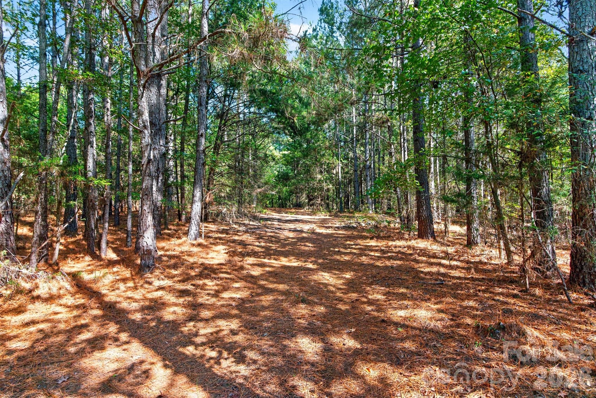 Acreage at 2 Pittman Road, Rock Hill, photo 24 of 30