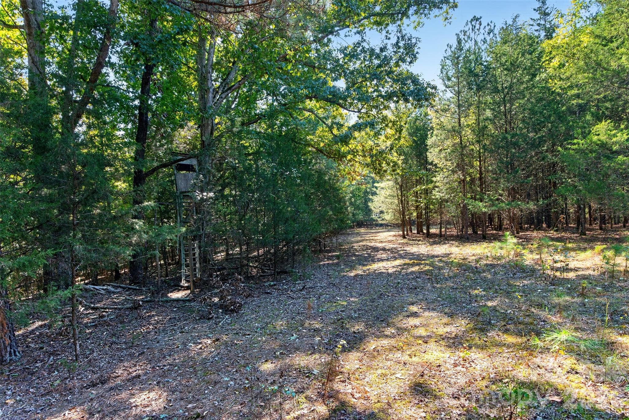 Acreage at 2 Pittman Road, Rock Hill, photo 25 of 30