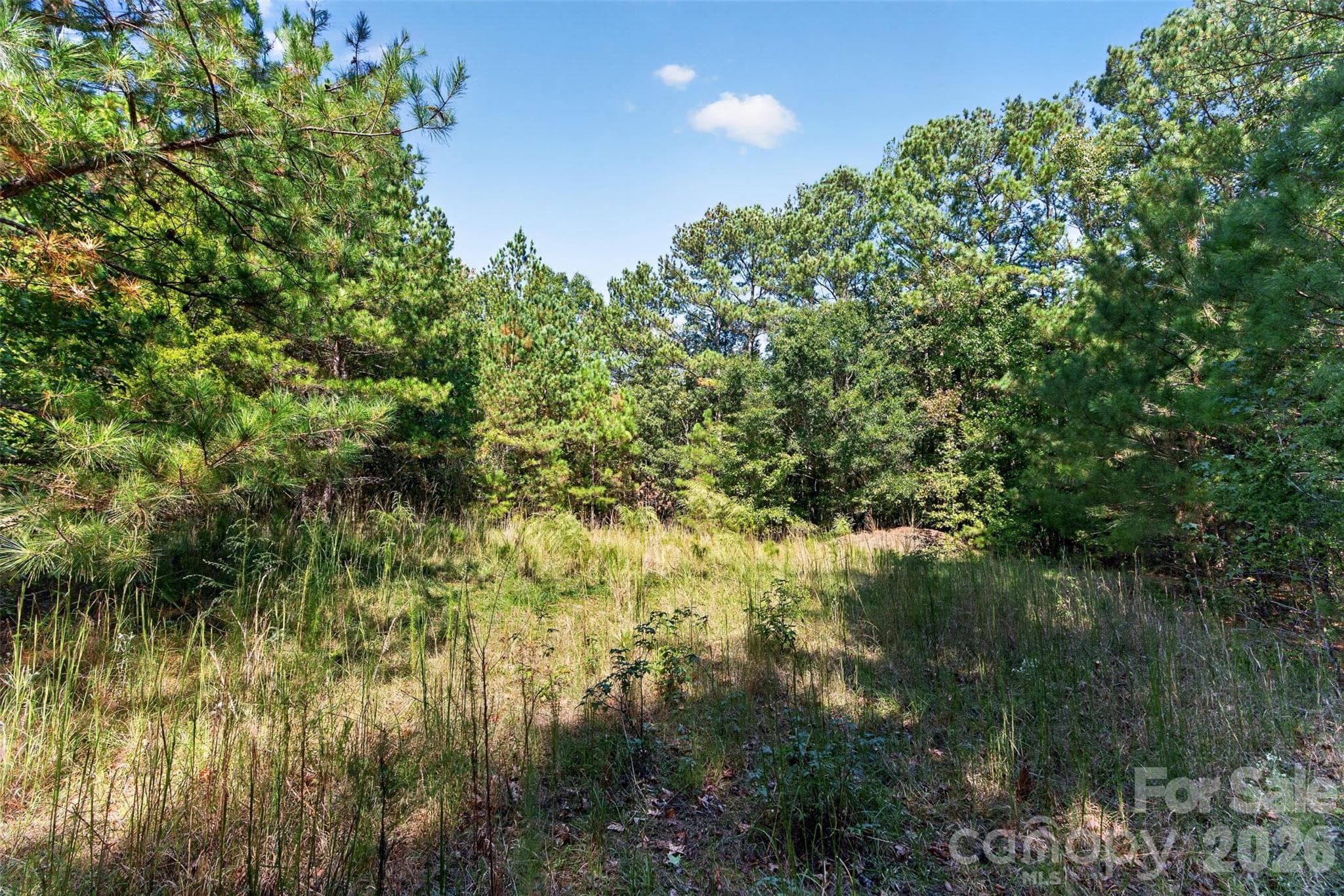 Acreage at 2 Pittman Road, Rock Hill, photo 28 of 30