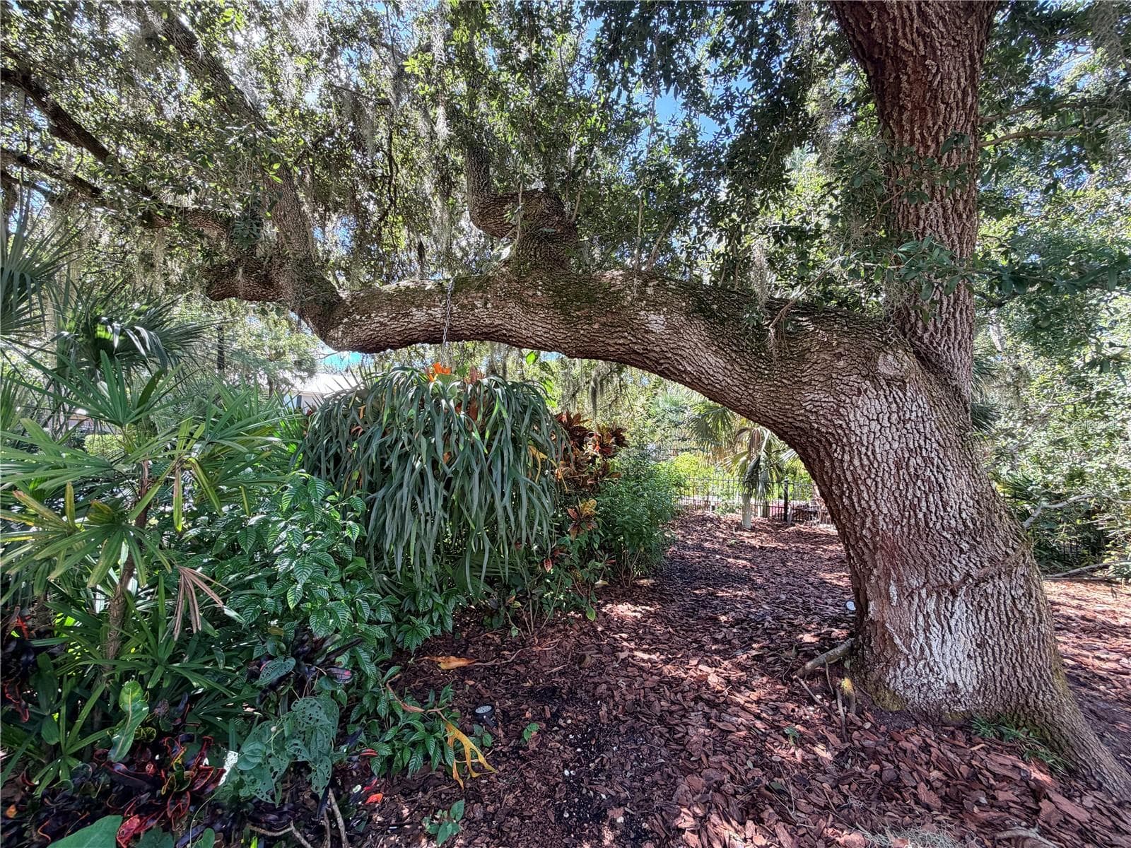 Single Family Residence at 5903 RIVER FOREST CIR, BRADENTON, photo 16 of 67